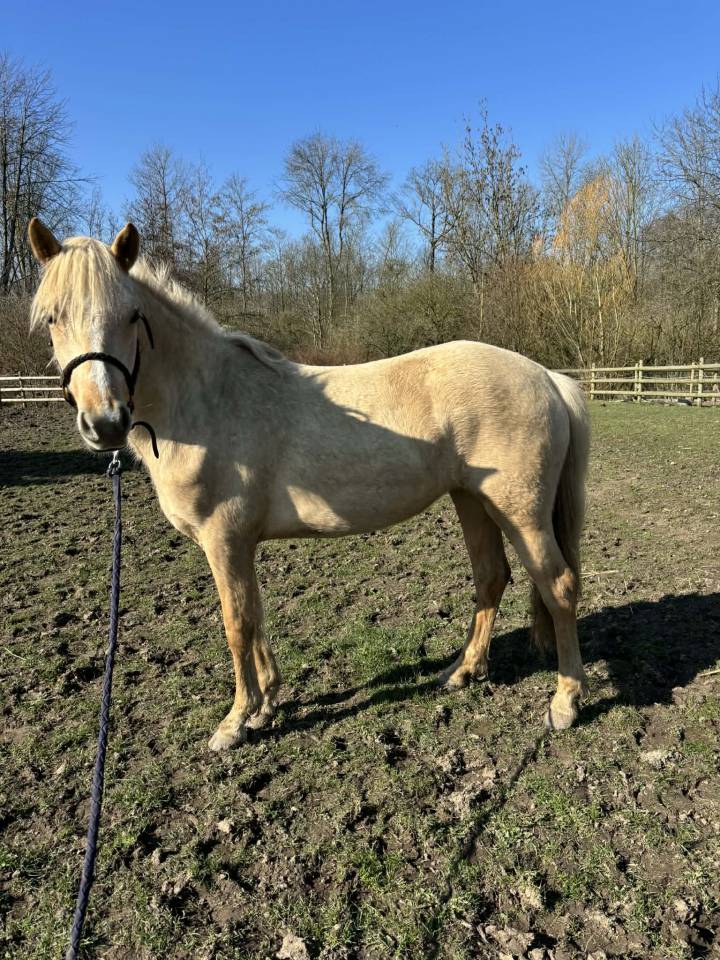 Ponette 2 ans 