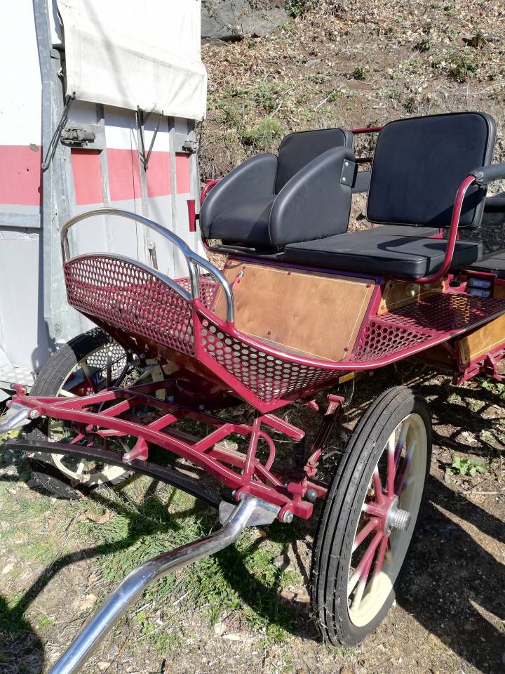 A vendre voiture marrathon loisirs et PMR