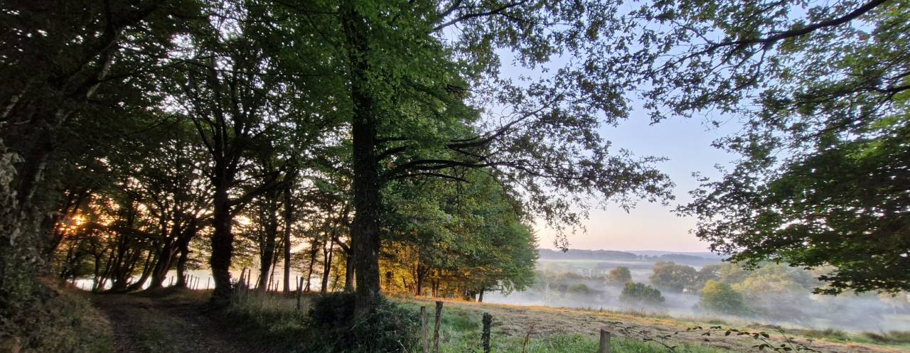 Tr&egrave;s belle propri&eacute;t&eacute; &eacute;questre de 14 ha