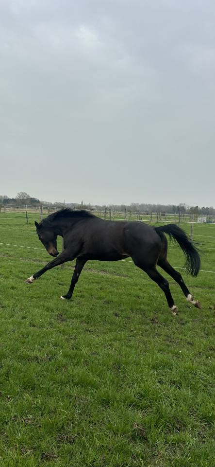 PENNY - 8ans - 1m64
