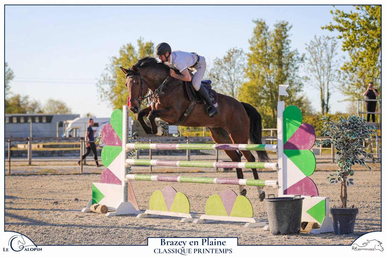 Khamma des Baies 6 ans Jument avec gros potentiel 