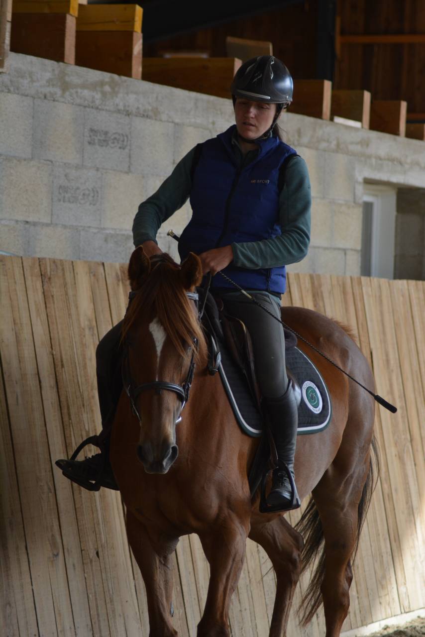 Jument 5 ans PP ps