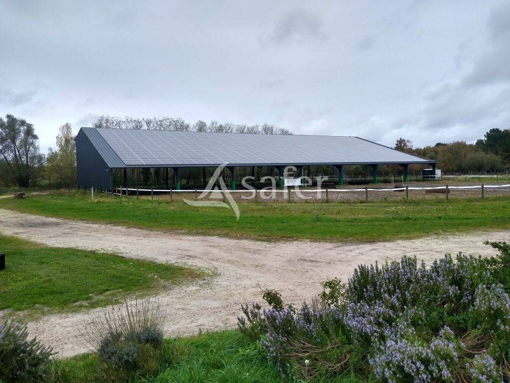 Aux portes de Bordeaux : une propri&eacute;t&eacute; &eacute;questre rare o&ugrave; natu