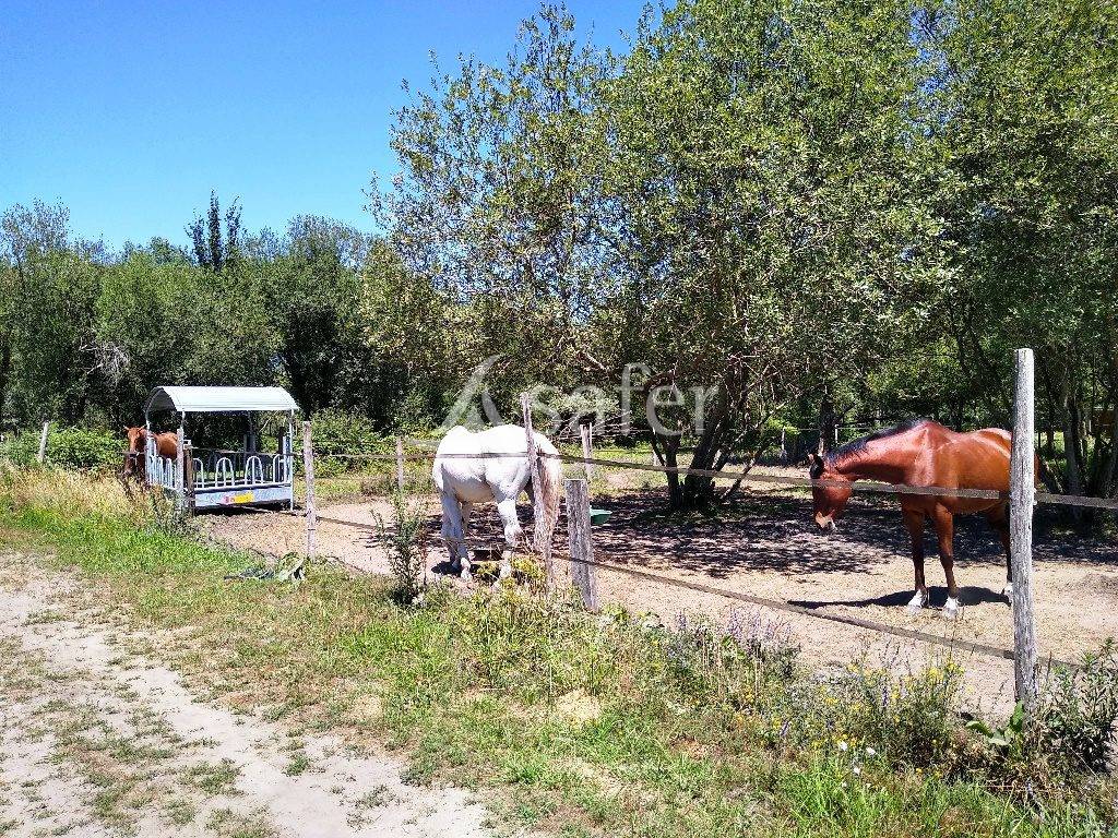Aux portes de Bordeaux : une propri&eacute;t&eacute; &eacute;questre rare o&ugrave; natu