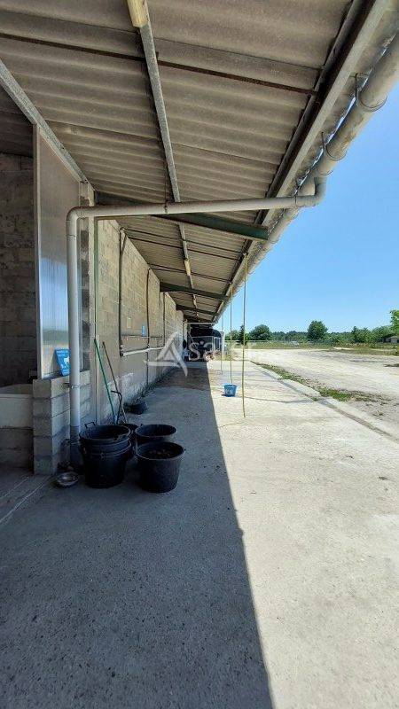 Propri&eacute;t&eacute; EQUESTRE proche Bordeaux &agrave; reprendre!