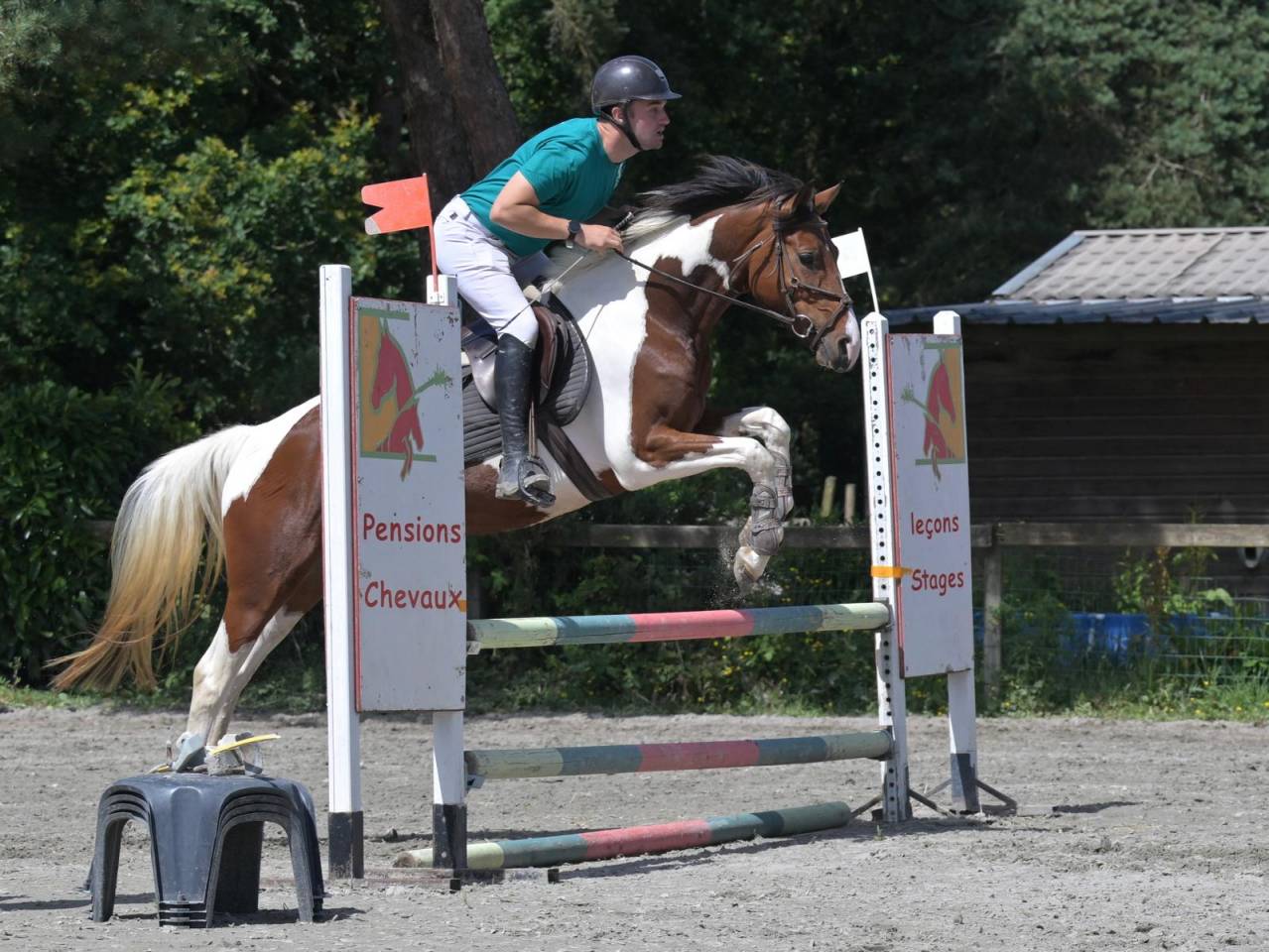 Jument Zangersheide CSO 5ans
