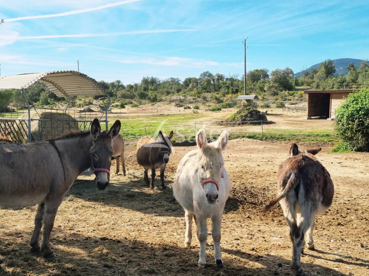 Ferme p&eacute;dagogique et d'&eacute;levage sp&eacute;cialis&eacute;e dans la productio