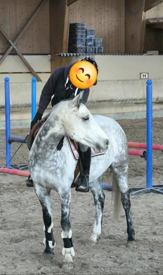 PSF D 8ans polyvalent 