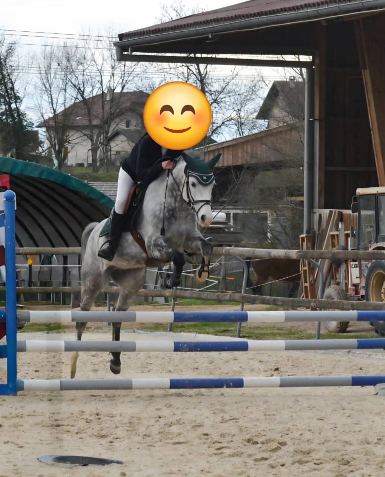 PSF D 8ans polyvalent 