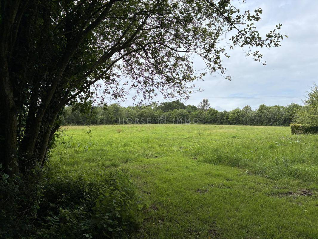 Propri&eacute;t&eacute; en pierre avec g&icirc;te ind&eacute;pendant sur 2 hectares &agrave;