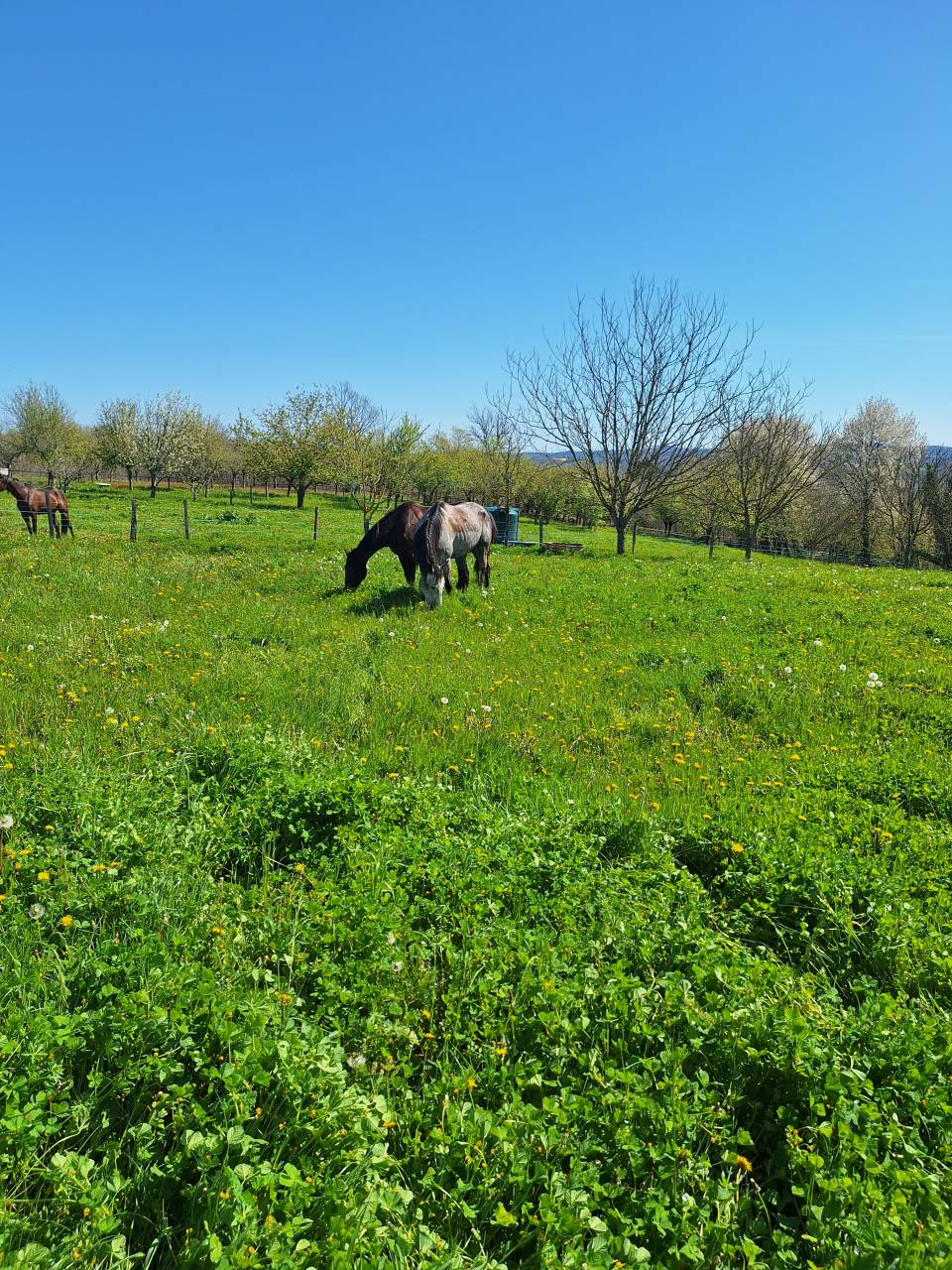 domaine a vendre