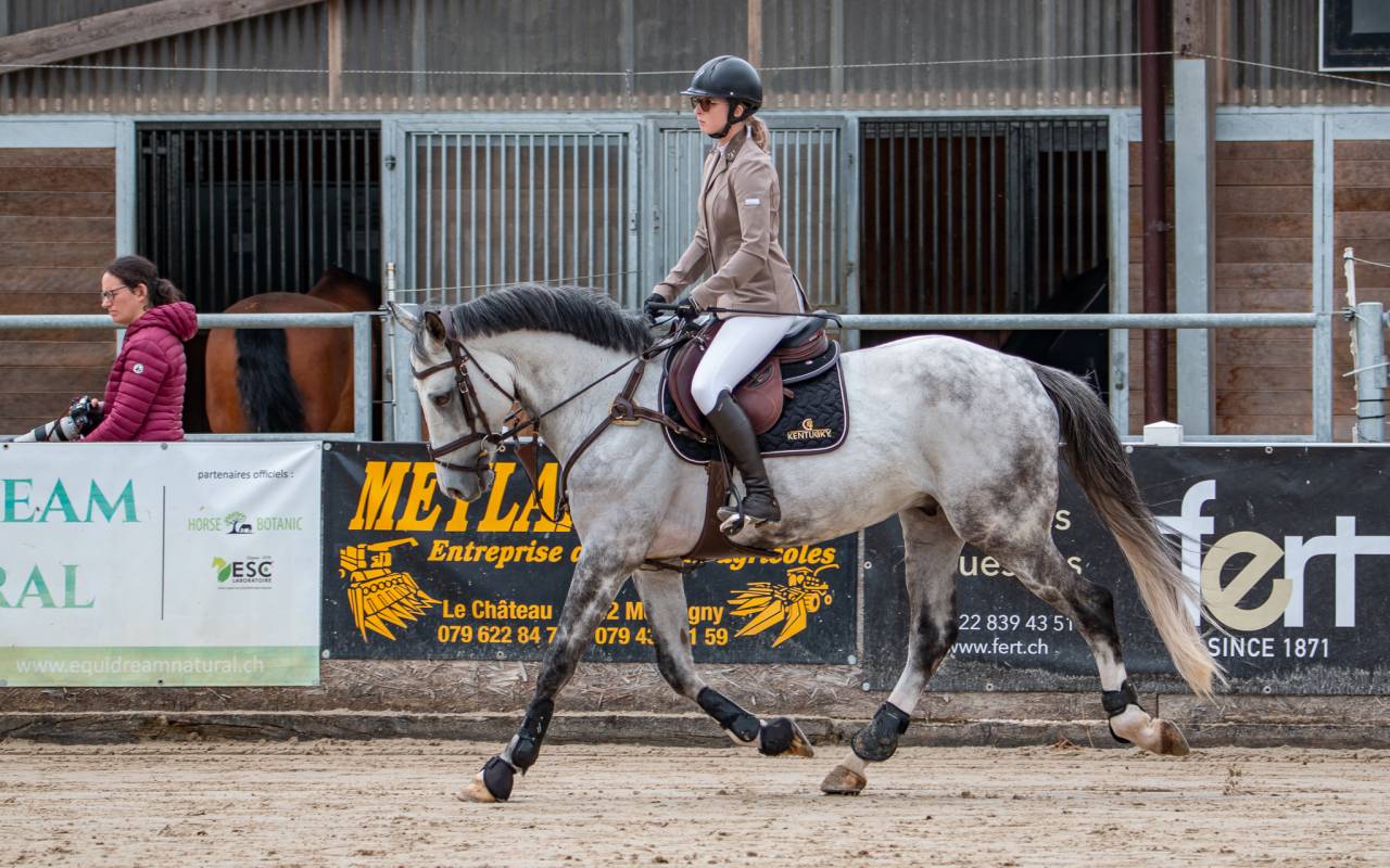 Cheval &agrave; vendre