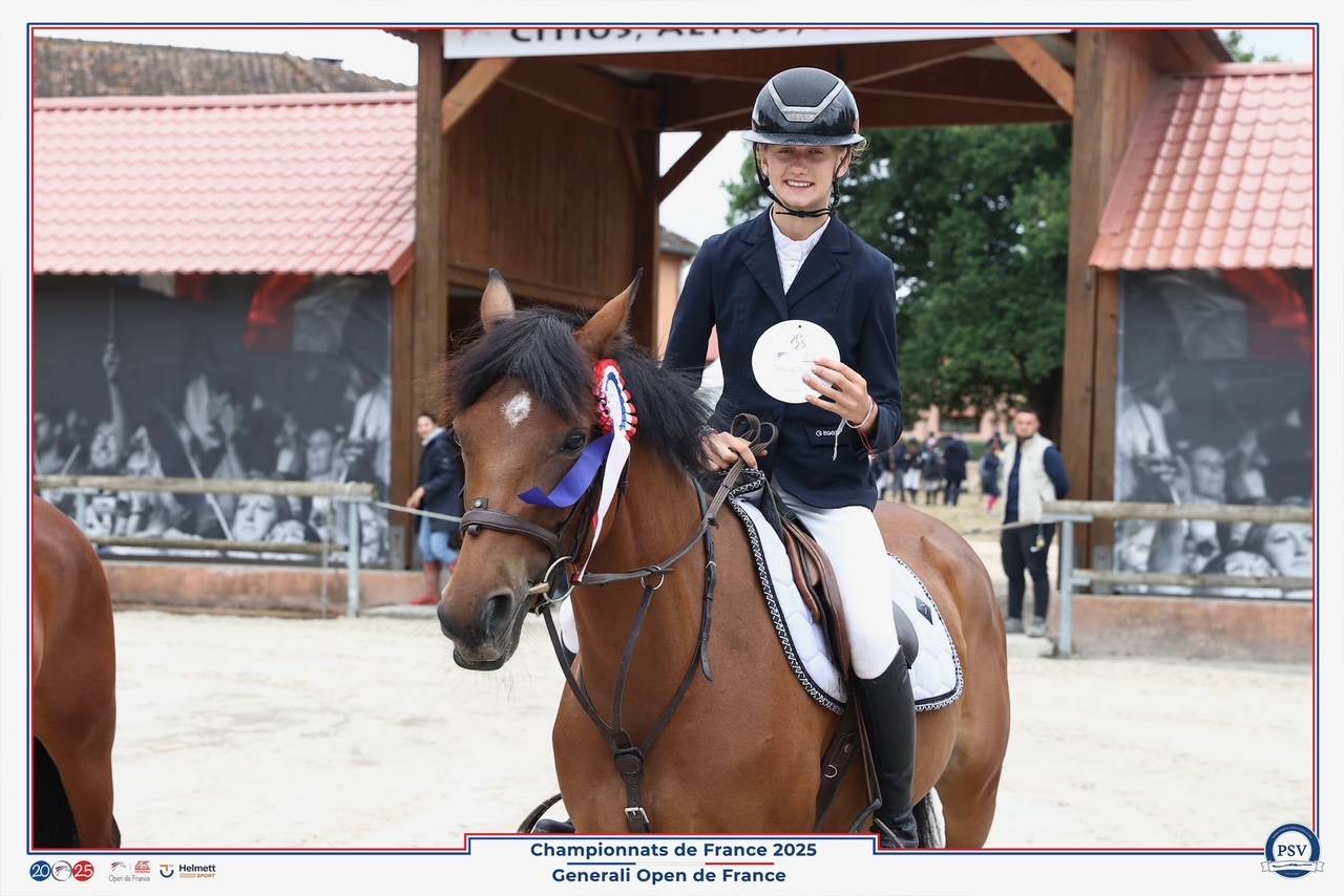 Poney de CSO performant &agrave; vendre 
