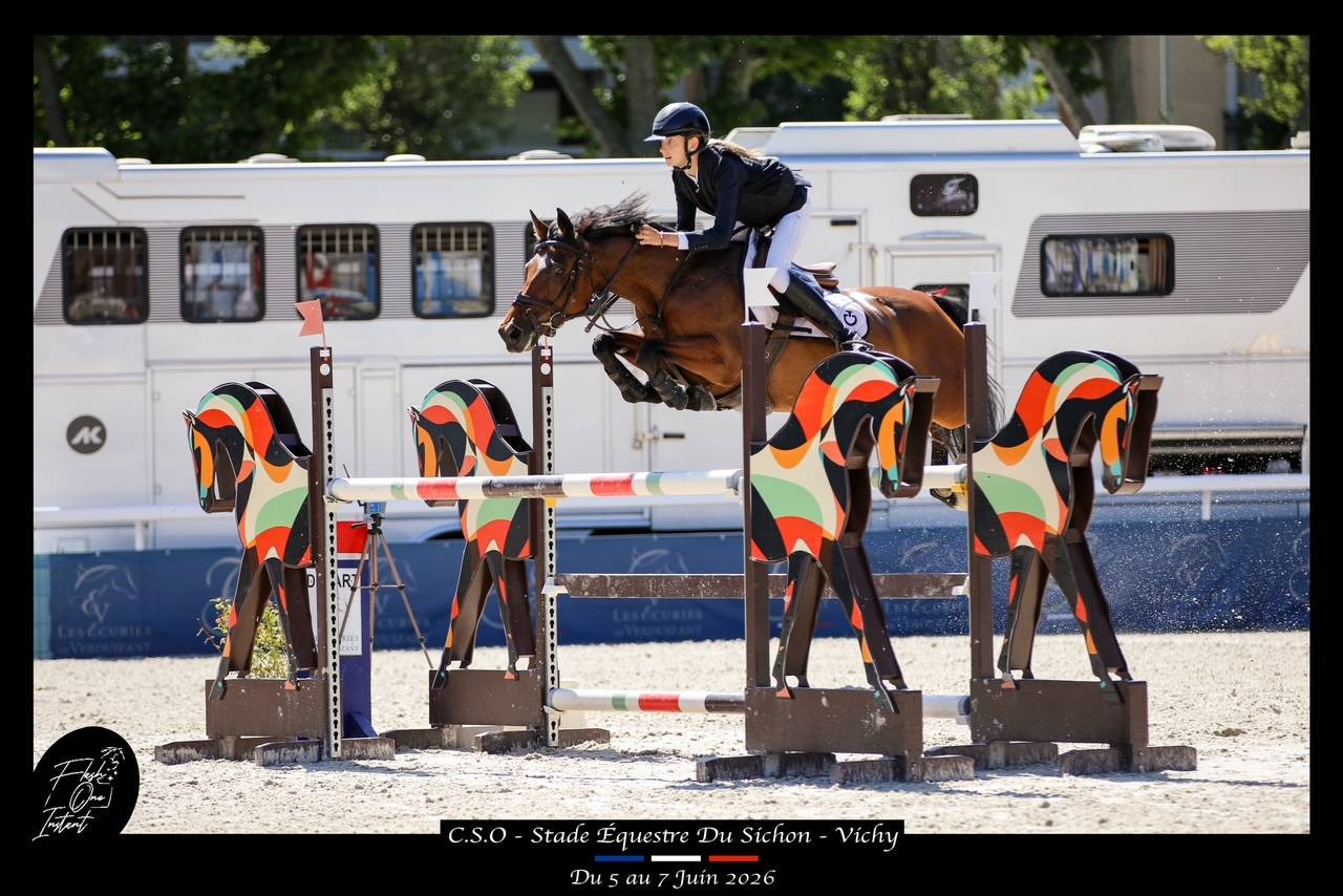 Poney de CSO performant &agrave; vendre 