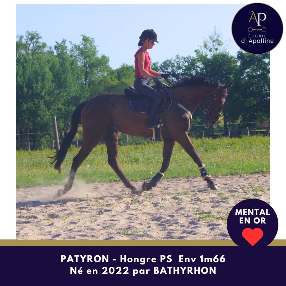 4 ans env 1m66 mental en or
