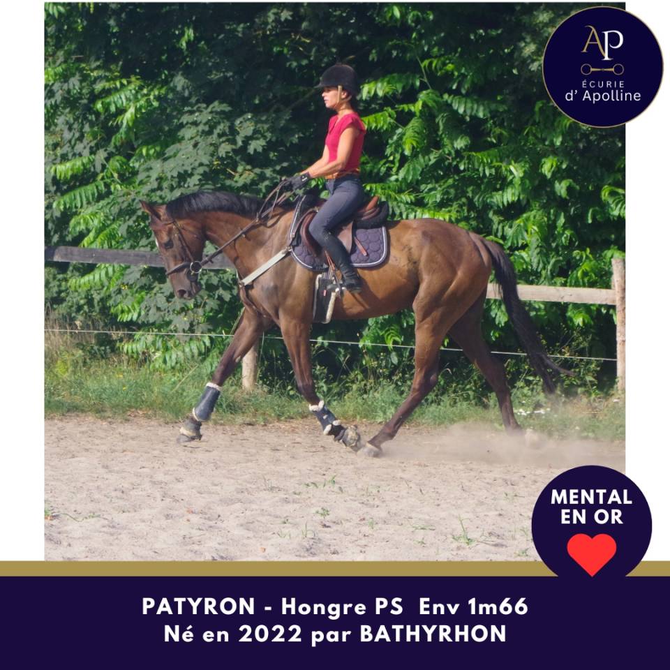 4 ans env 1m66 mental en or