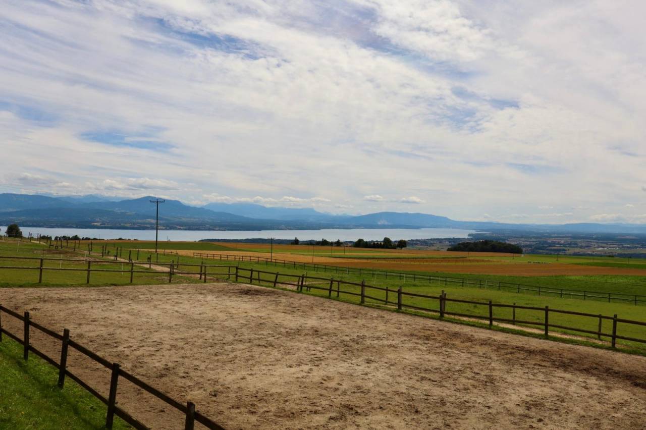 Deux boxes disponible - Man&egrave;ge de la Pastorale - Burtigny