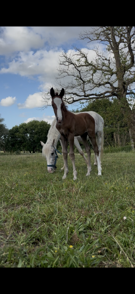 Ponette 9 ans 
