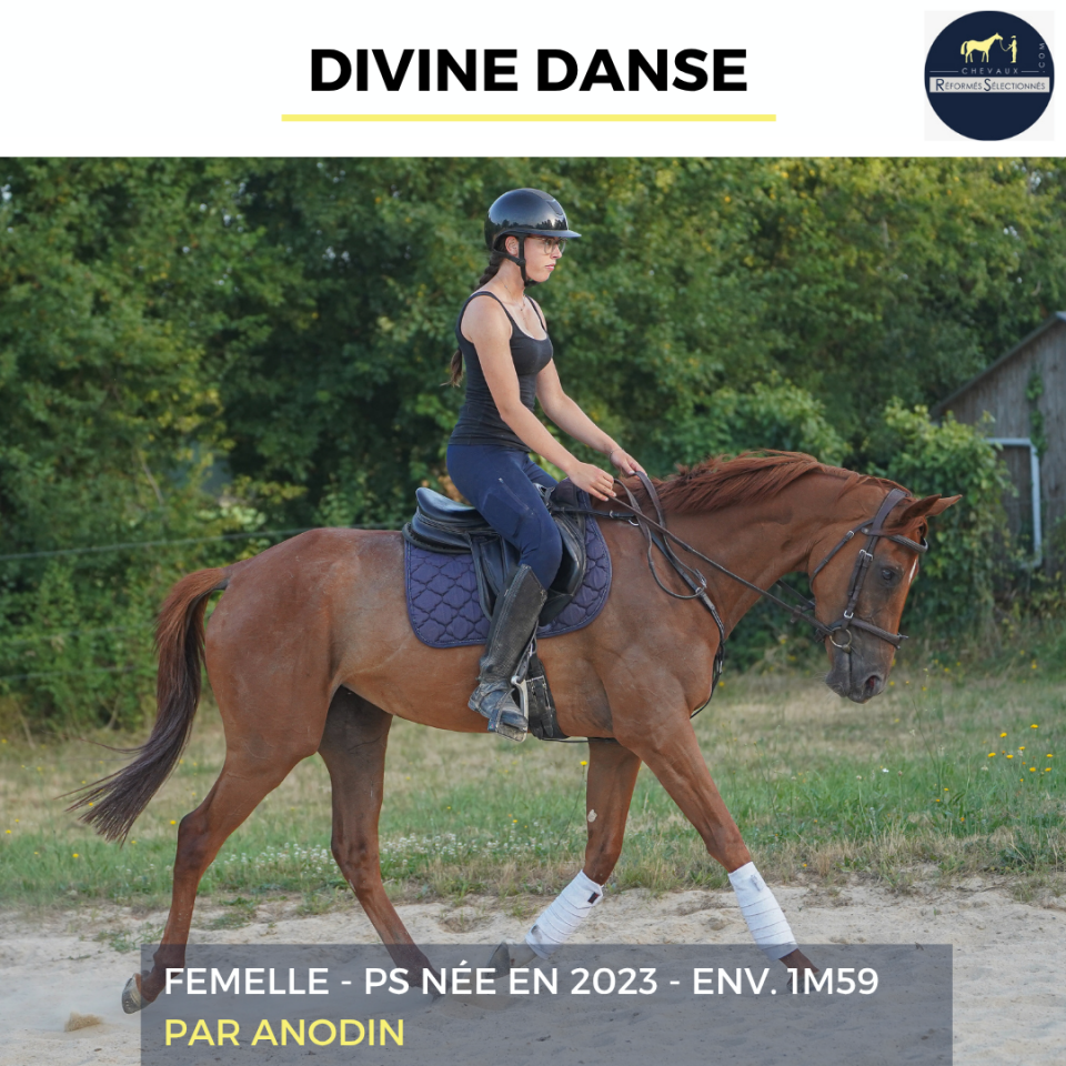DIVINE DANSE - PS - 3 ANS