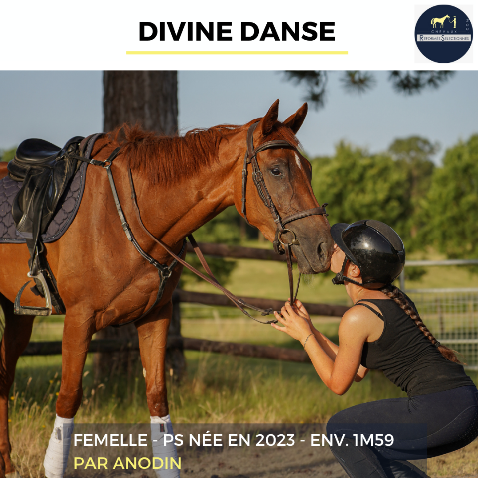 DIVINE DANSE - PS - 3 ANS