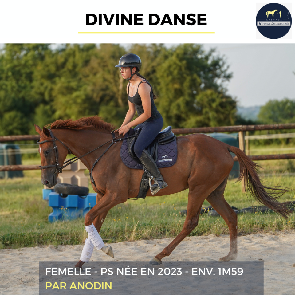 DIVINE DANSE - PS - 3 ANS