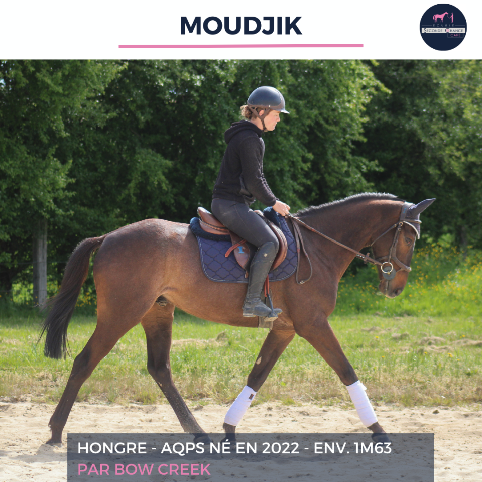 MOUDJIK - AQPS - 4 ANS