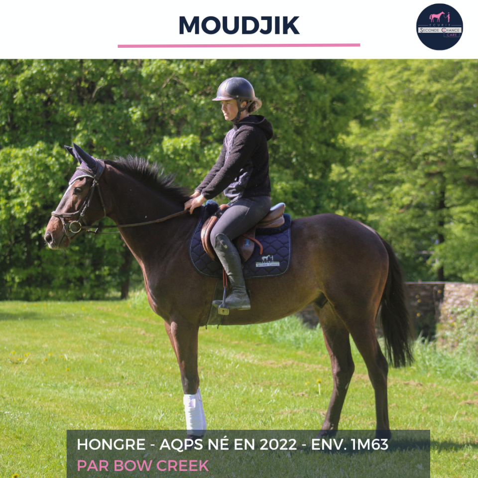 MOUDJIK - AQPS - 4 ANS