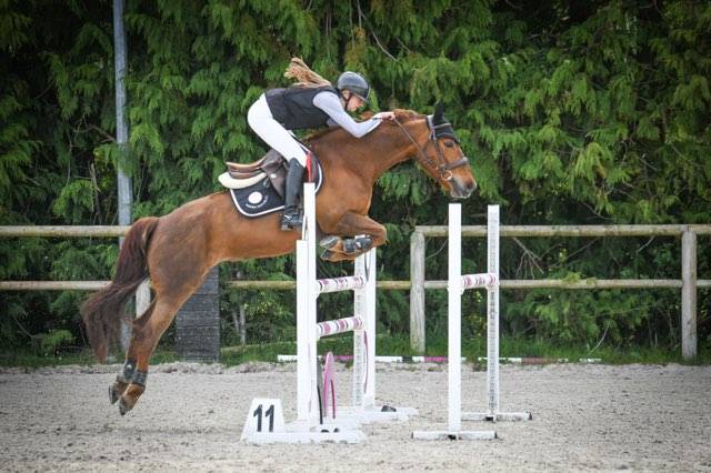 Ponette de sport D &agrave; louer.
