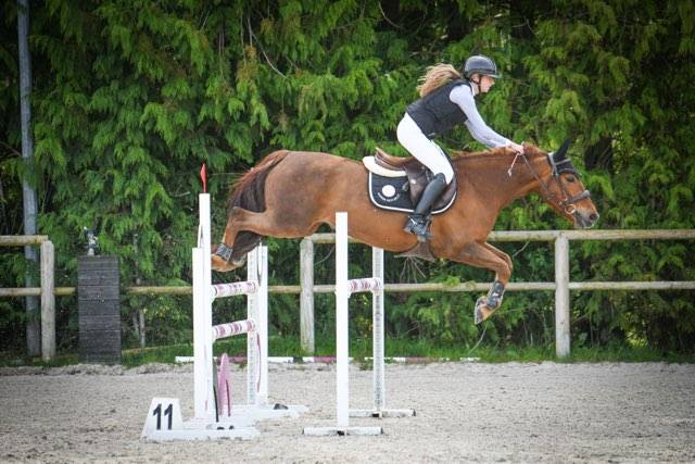 Ponette de sport D &agrave; louer.