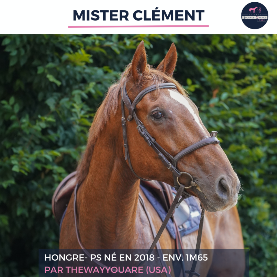 MISTER CLEMENT - PS - 8 ANS