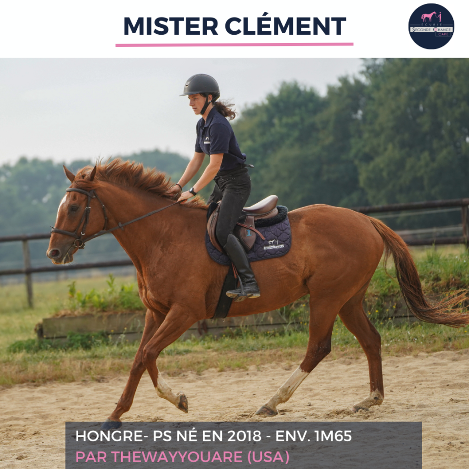 MISTER CLEMENT - PS - 8 ANS