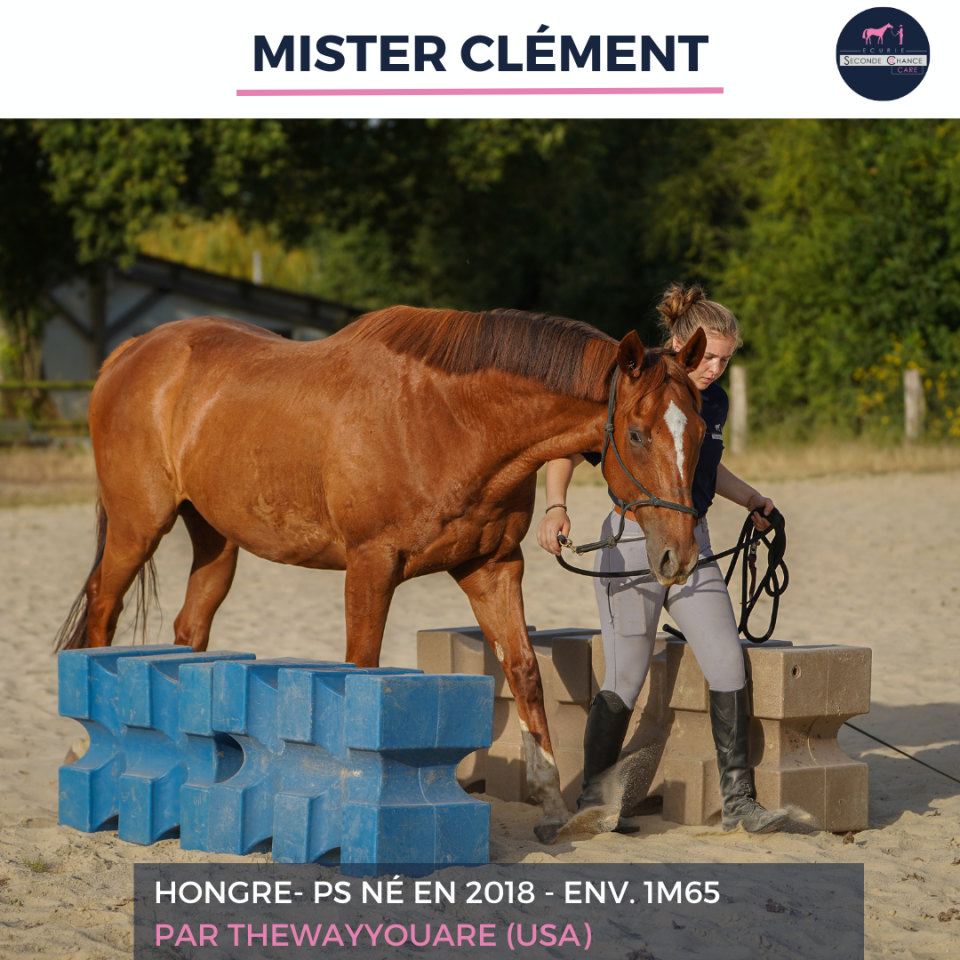 MISTER CLEMENT - PS - 8 ANS