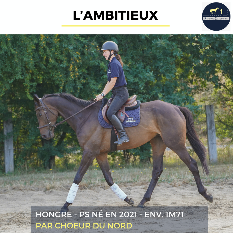 L'AMBITIEUX - PS - 5 ANS 