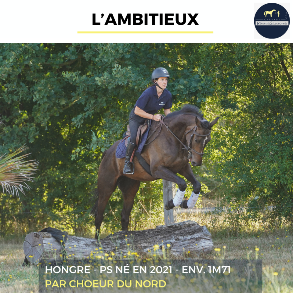 L'AMBITIEUX - PS - 5 ANS 