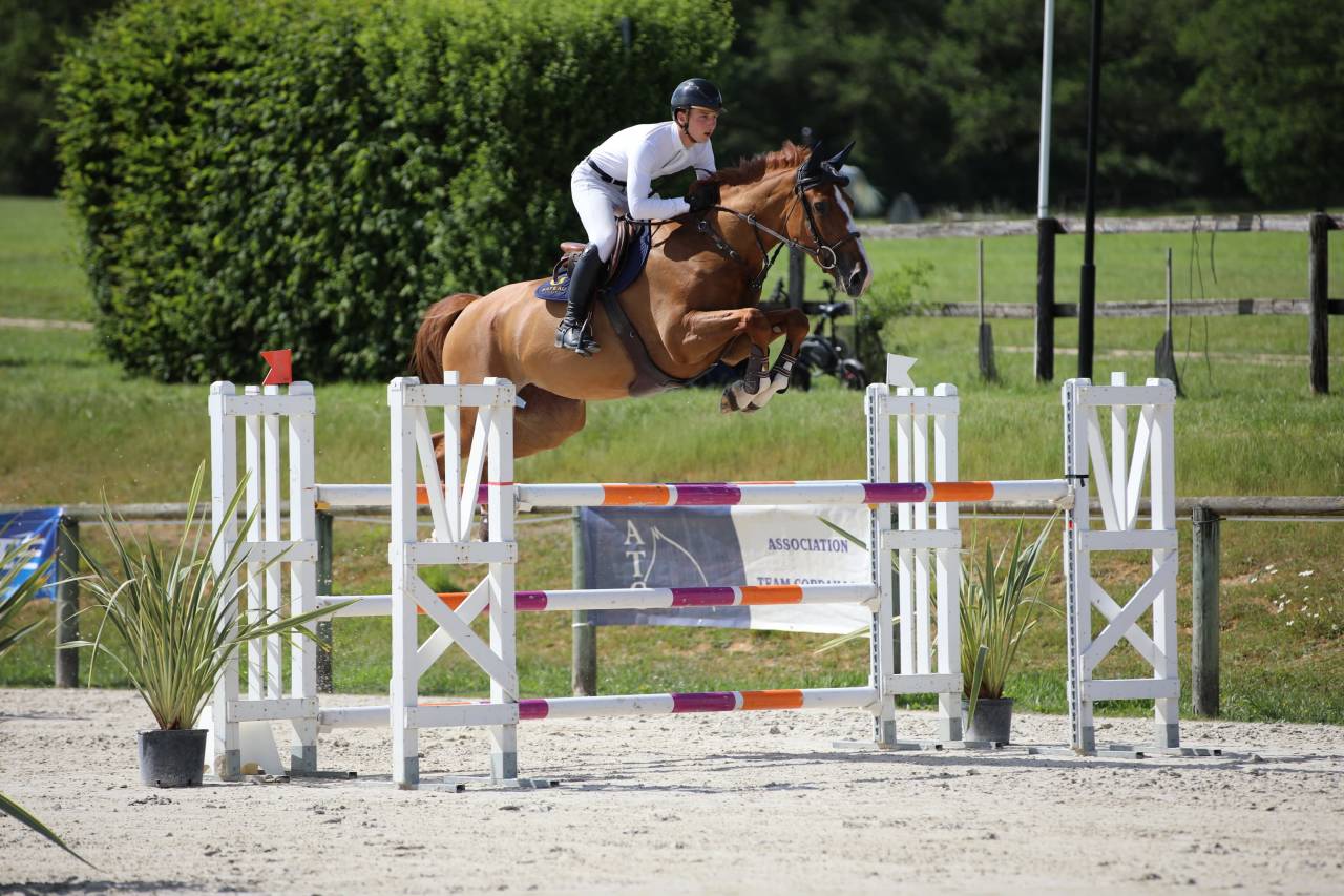 JEXICA DU PARC TOP 7  SELLE FRANCAIS MARE SCOPE 145 150
