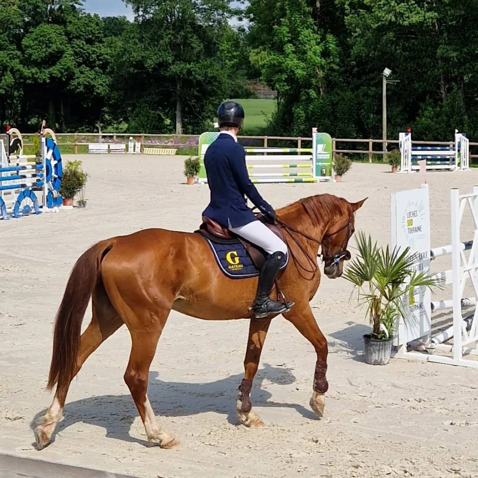 JEXICA DU PARC TOP 7  SELLE FRANCAIS MARE SCOPE 145 150