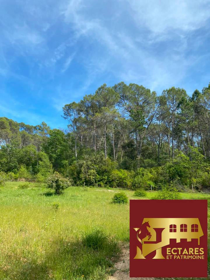 Tr&egrave;s jolie propri&eacute;t&eacute; &eacute;questre aux multiples possibilit&eacute;s