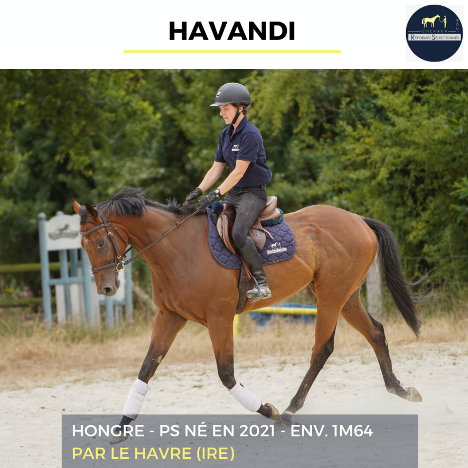 HAVANDI - PS - 5 ANS 