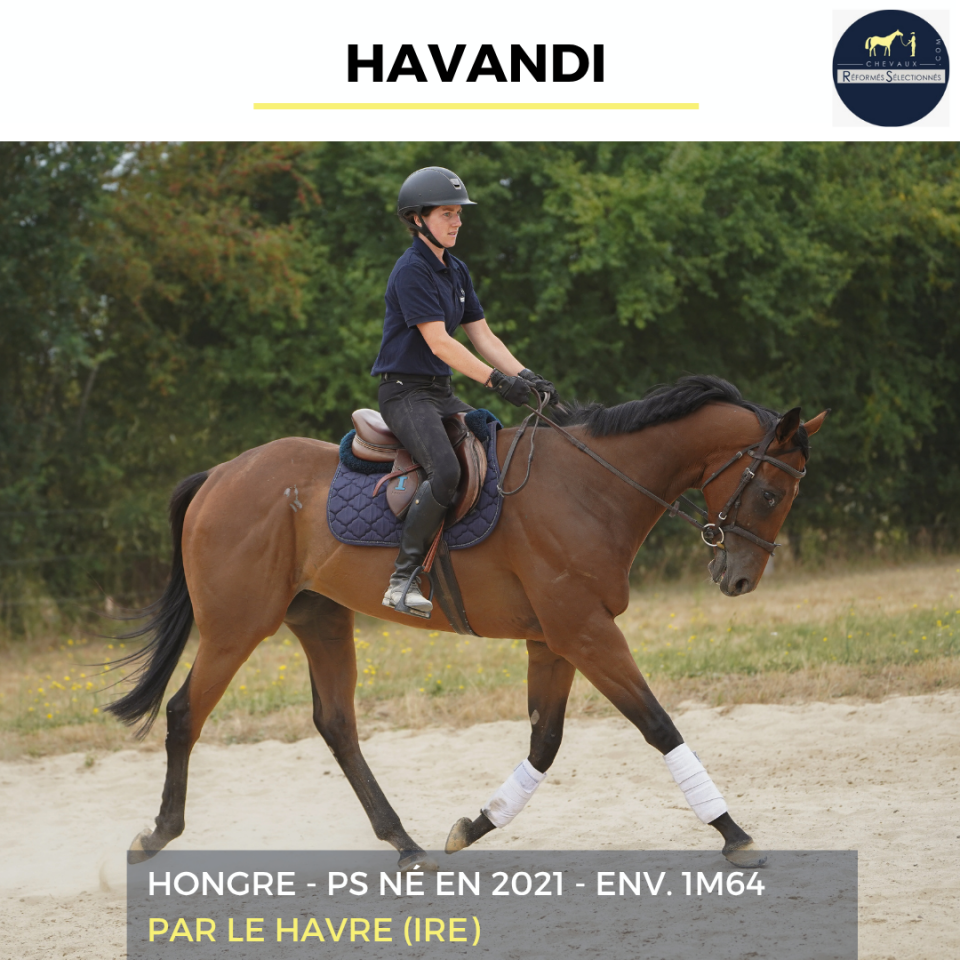 HAVANDI - PS - 5 ANS 