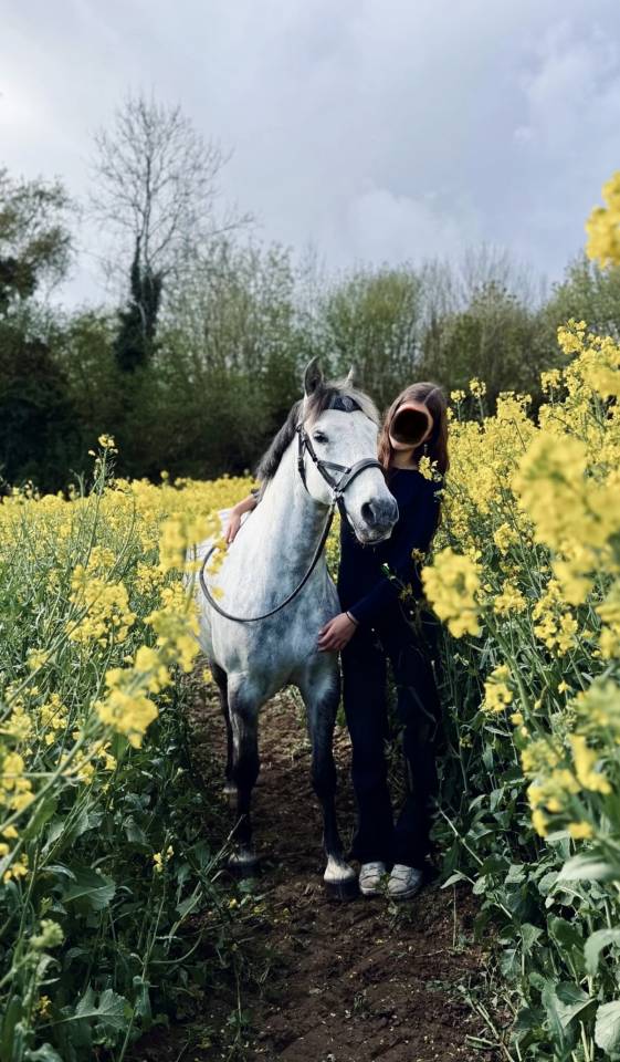 Poney fran&ccedil;ais de selle PP