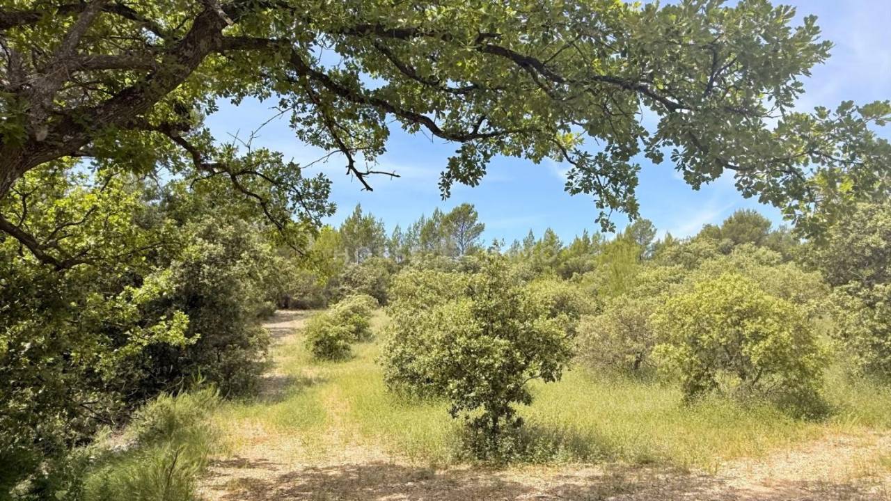 Magnifique bastide au pied du Luberon sur 8,5 hectares