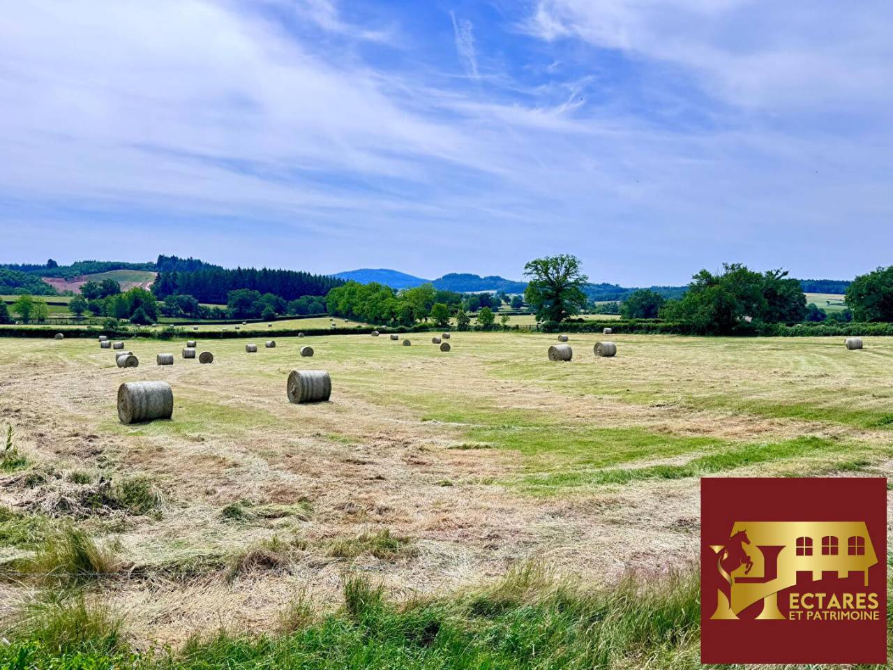 Magnifique domaine 6,4 hectares + fermages