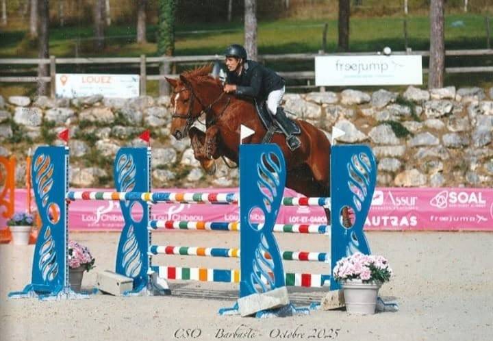 TOP HONGRE DE 8 ANS 