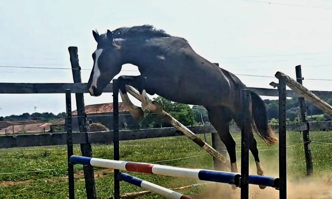 MURACO D ASTREE 4 ANS 