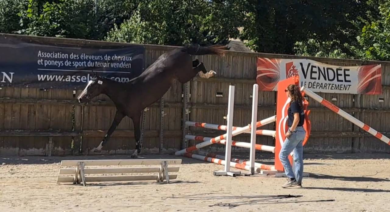 MURACO D ASTREE 4 ANS 