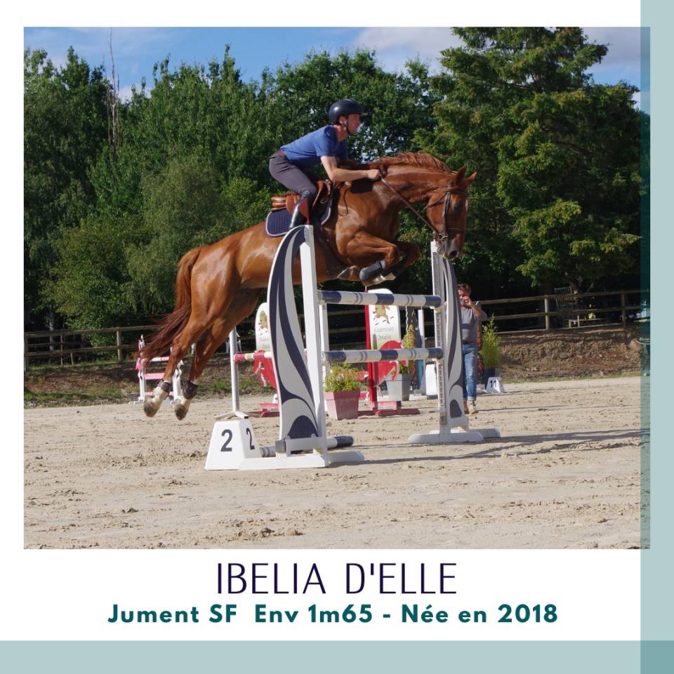 Jument CSO 10 pts PACE / Top famille (1m45)