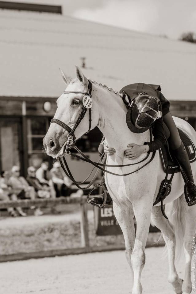Hongre - Lusitanien - 14 ans - Dressage -  PSG - France