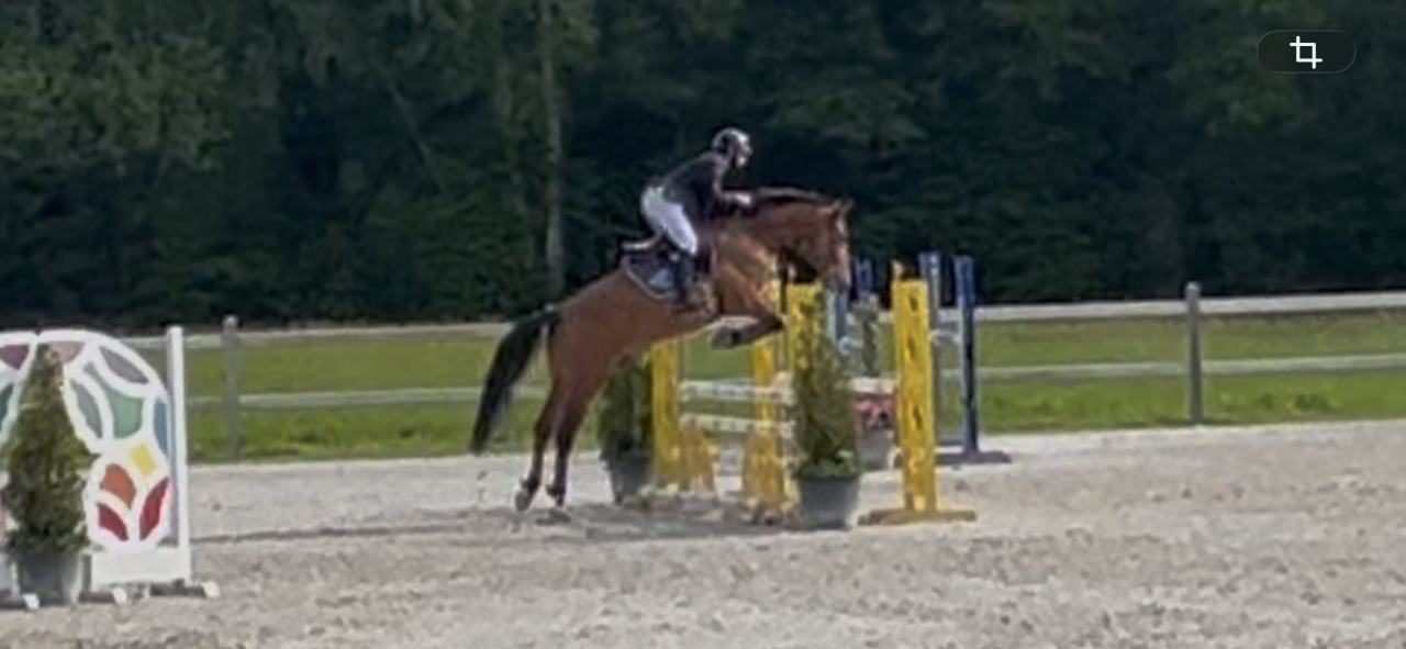 Cherche stagiaire Galop 7