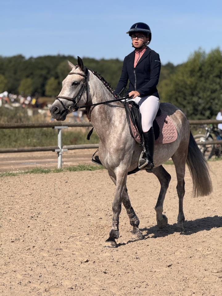Top Poney  AS1