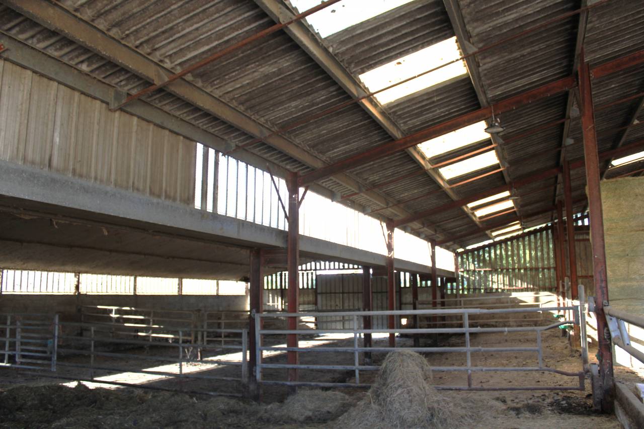 PROPRIETE DE 15 HECTARES AVEC MAISON TARN ET GARONNE